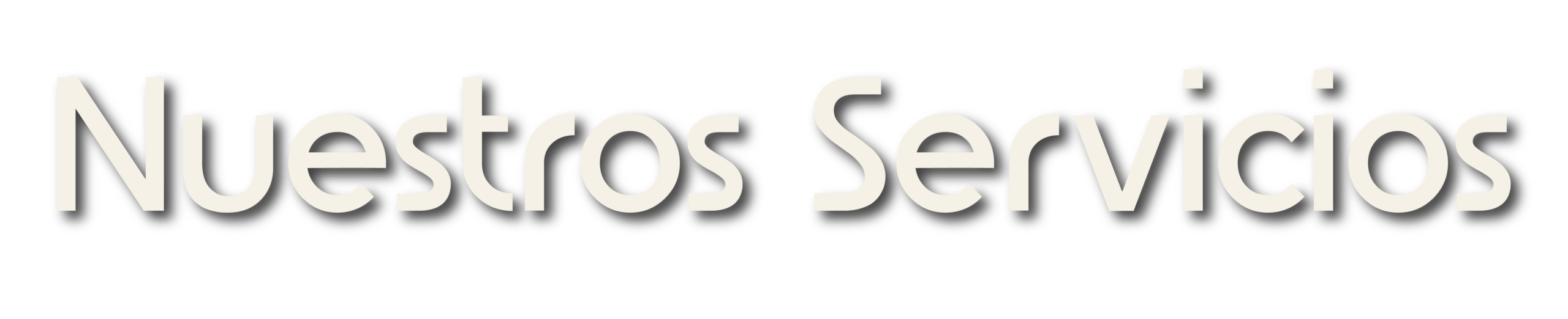 nuestros servicios