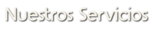 nuestros servicios